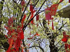 -终南山南五台景区