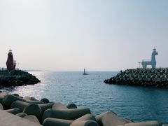 -涉地可支