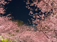 -西北湖绿化广场