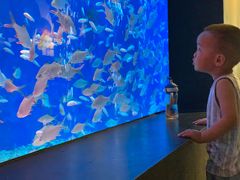 -成都浩海立方海洋公园