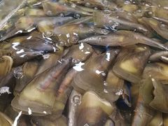 -雅盛品931海鲜酒家