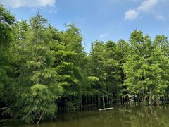 -尚湖风景区