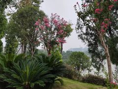 -枫香湖儿童公园