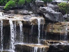 -东莞植物园
