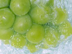 -太二酸菜鱼(天鹅湖万达店)