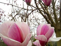 -白鹭湾湿地公园