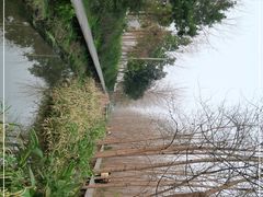 -合肥滨湖国家森林公园