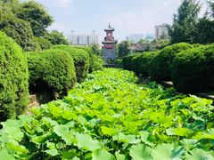 -四川大学(华西校区)