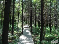 -白草畔自然风景区