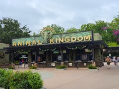 -奥兰多迪士尼动物王国乐园