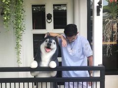 -TrueLove @ Neverland (Husky Cafe)