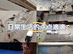 -中国湿地博物馆