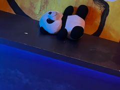 -Y&Y创意真人密室逃脱馆(人民广场步行街店)