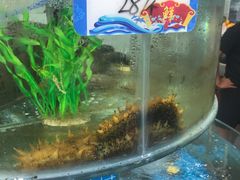 -抹直口特色菜馆(一店)