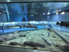 -福州罗源湾海洋世界旅游区