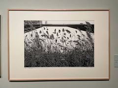 -江苏省美术馆(长江路新馆)