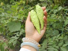 -北京金海湖景区