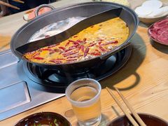 -阳阳老火锅(小南门店)