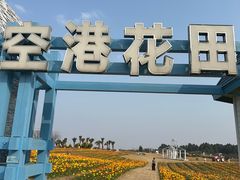 -空港花田景区