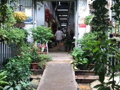 -双季花艺园艺市场(浦东店)