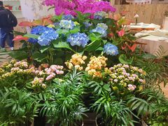-春暖花开(西溪店)