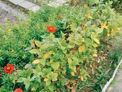 -洪湖家庭农场·团建·露营·会议