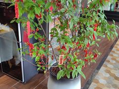 -名典餐厅(铁西立安花园店)