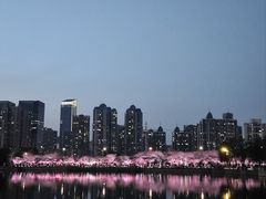 -西北湖绿化广场
