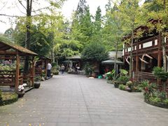 -青城甲(青城山店)