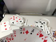 -新加坡航空公司(ION)