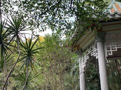 -深圳国际园林花卉博览园