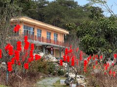 -广西壮族自治区药用植物园