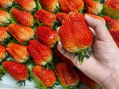 -西郊国际农产品交易中心