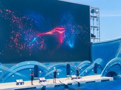 -上海海昌海洋公园