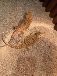 -酷嗒动物文化乐园(cutezoo西溪乐天城店)