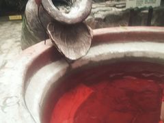 -龙达温泉生态城