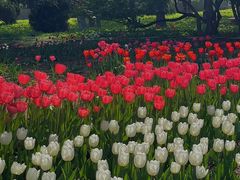 -石家庄市植物园