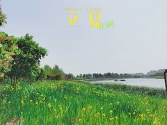 -老阿妈蒙古村·蒙古包·草原文化·歌舞表演(老君堂店)