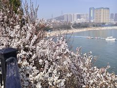 -黑石礁公园