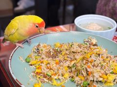 -扬二春炒饭(国庆路总店)