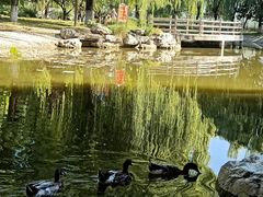 -丰台科技园生态主题公园