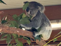 -费瑟代尔野生动物园
