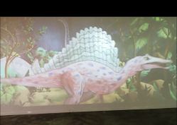 -恐龙探索乐园(磁器口店)