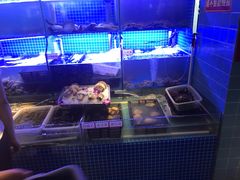 -捞围鲜·港式打边炉(海阳路店)