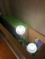 -悦妍韩式半永久纹眉纹绣