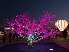 -西树泡芙(蓝色港湾店)