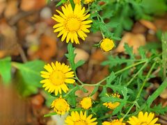 -山西通天峡景区