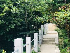 -崂山巨峰游览区