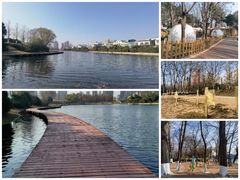 -沙澧河风景区