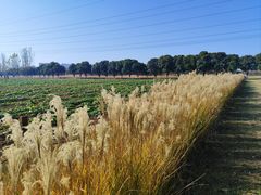 -西安汉城湖景区